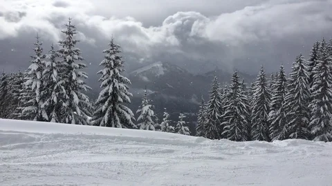 Snowy Landscape 2 Stock Footage 73381578