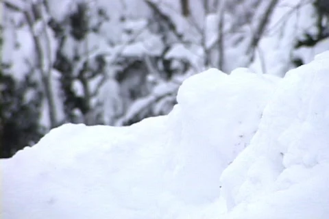 Snowy Landscape 4 Vídeo Stock 265385