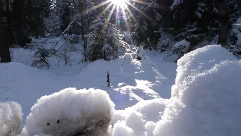 Snowy landscape capturing sunlight in a winter forest Vidéo 305275825