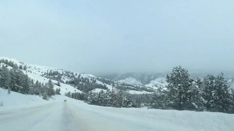 Snowy Landscape Drive Video stock 45516782