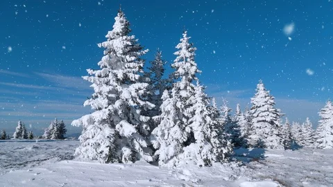 Snowy landscape during snowfall 動画素材 97068749