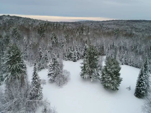 Snowy Landscape Fly Over Stock Footage 83497023