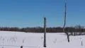 Snowy landscape HD Footage