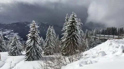 Snowy Landscape Stock Footage 73381613