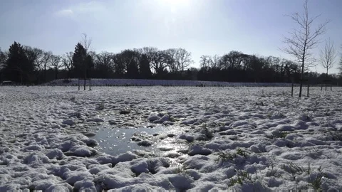 Snowy Landscape Stock Footage 102389204