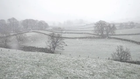 Snowy landscape Stock Footage 115507772