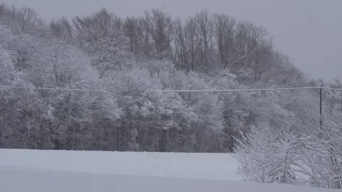 A snowy landscape with forest Stock Footage 262066049