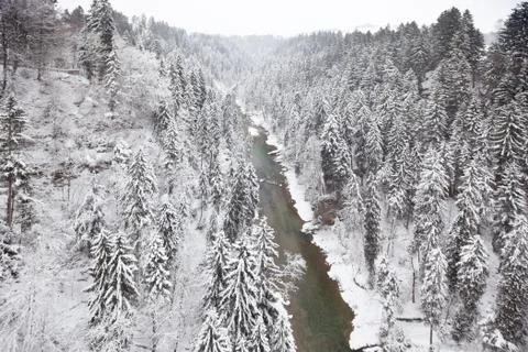 Snowy landscape Stock Photos