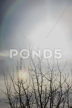 Snowy landscape Stock Photos