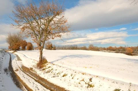 Snowy Landscape Stock Photos