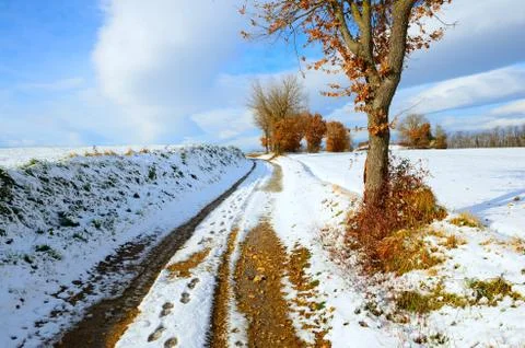 Snowy Landscape Stock Photos
