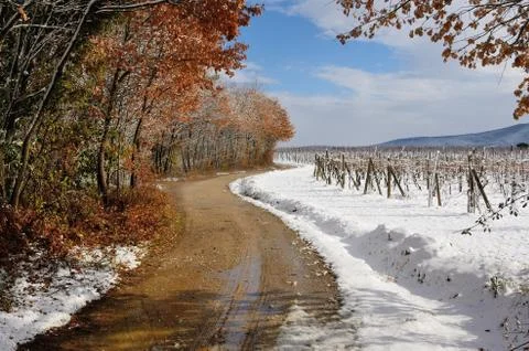 Snowy Landscape Stock Photos
