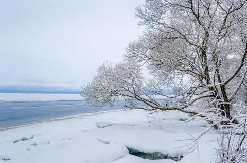 Snowy landscape Stock Photos