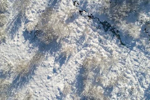 Snowy landscape Stock Photos