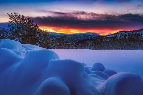 Snowy landscape Stock Photos