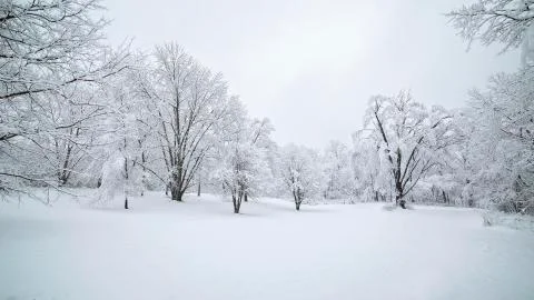 Snowy Landscape Stock Photos