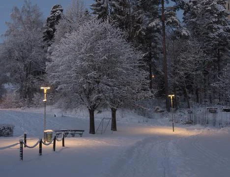Snowy landscape Stock Photos