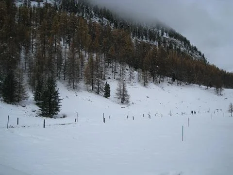 Snowy landscape Stock Photos