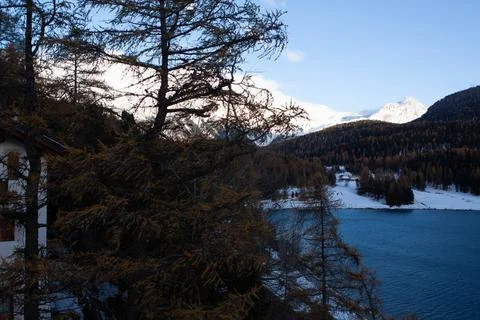 Snowy landscape Stock Photos