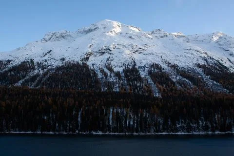 Snowy landscape Stock Photos