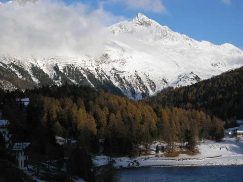 Snowy landscape Stock Photos
