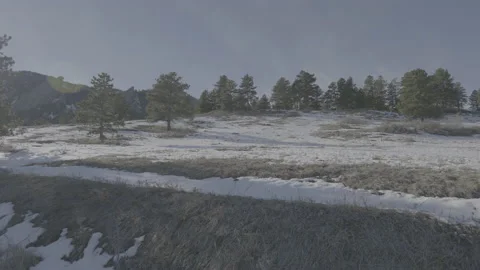 Snowy landscape with pine trees Video stock 230123853