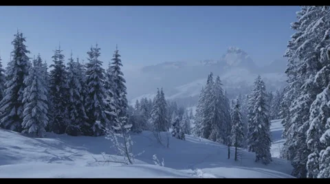 Snowy Landscape - RED Epic 库存影片 32236533