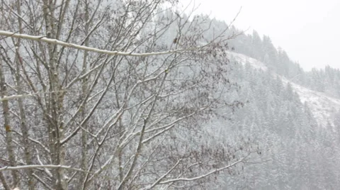 Snowy Landscape Schneelandschaft Stock Footage 1085158
