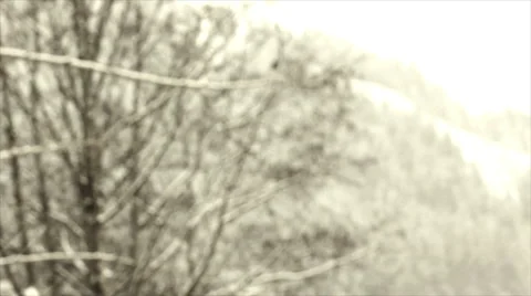 Snowy Landscape Schneelandschaft Video stock 1085174