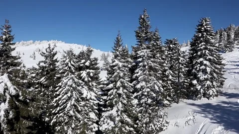 Snowy Landscape At The Ski Resort Video stock 168688715