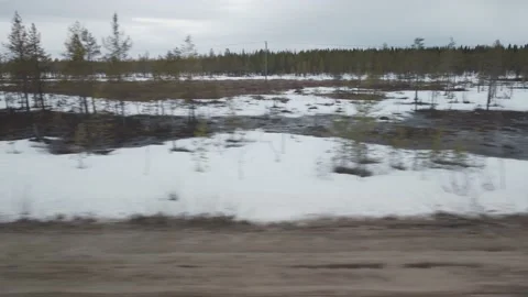 Snowy landscape with sparse trees captured from a moving vehicle Stock Footage 195510988