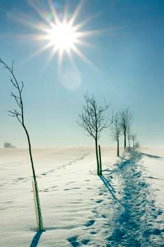 Snowy landscape with sun Stock Photos