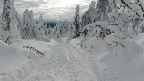 Snowy landscape in the sunlight Stock Footage 130135040