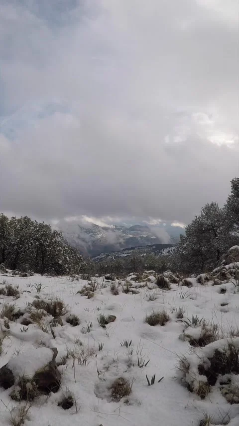 Snowy landscape timelapse Stockbeeldmateriaal 235044125