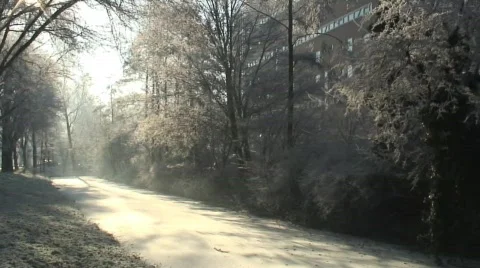 Snowy landscape tracking Video stock 99744