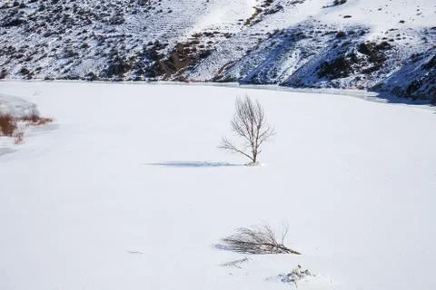 Snowy landscape from the train window Stock Photos