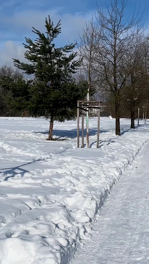 Snowy Landscape With a Tree Structure and Footprints During Winter in a Park Stock Footage 327910678