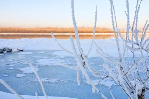 Snowy landscape with trees Stock Photos