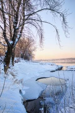 Snowy landscape with trees Stock Photos