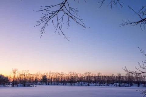 Snowy landscape with trees Stock Photos