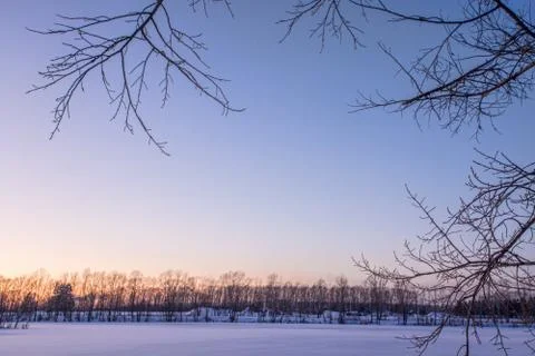 Snowy landscape with trees Stock Photos