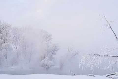 Snowy landscape with trees Stock Photos