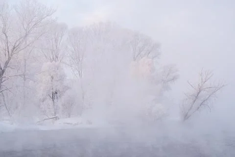 Snowy landscape with trees Stock Photos