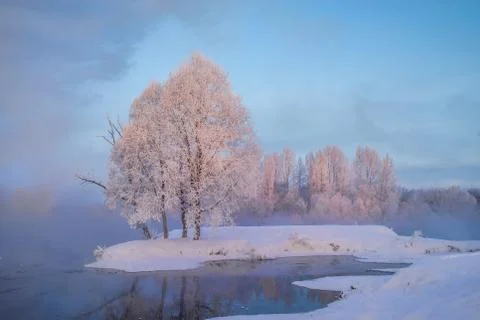 Snowy landscape with trees Stock Photos