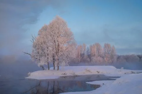 Snowy landscape with trees Stock Photos