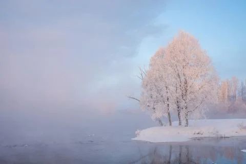 Snowy landscape with trees Stock Photos