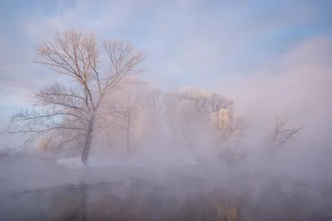 Snowy landscape with trees Stock Photos