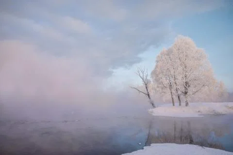 Snowy landscape with trees Stock Photos