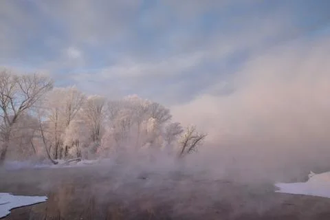 Snowy landscape with trees Stock Photos