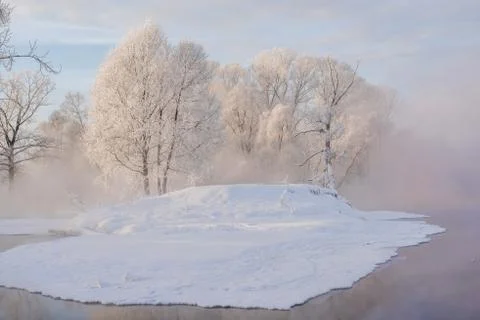 Snowy landscape with trees Stock-Fotos